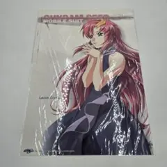 2025年最新】seed ラクス ポスターの人気アイテム - メルカリ