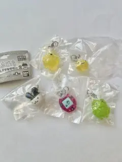 たまごっち めじるしアクセサリー２　5種　セミコンプリート　ガチャ　みみっち