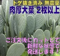 Item thumbnail for item 087aff7c-e434-4914-bae0-7d038a538de2