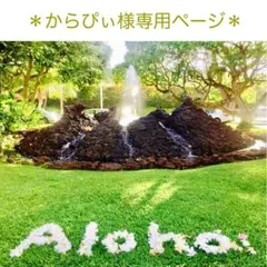 ＊からぴぃ様専用ページ＊