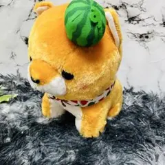 まるたま豆しば三兄弟　サマーJB ぬいぐるみ　約30センチ　豆太郎