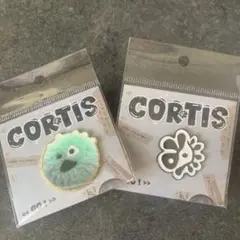 Item thumbnail for item 98926988-8d31-49fb-afc6-689d96342b27