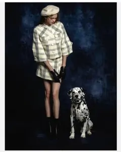 Sheller セットアップ