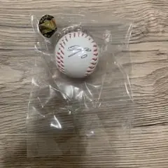 【阪神タイガース】 ミニサインボールキーホルダー　木浪聖也　ガチャガチャ