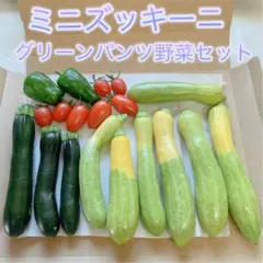 ミニズッキーニ グリーンパンツ野菜セットのサムネイル
