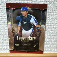 Item thumbnail for item ae790851-d3d4-4b7e-973b-8f7d79b20678