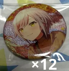 プロセカ グリッター缶バッジ vol.47C 日野森志歩 特訓前 12点