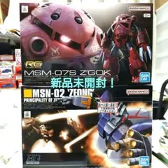 RG MSN-02 ZEONG ジオング 未開封 - メルカリ