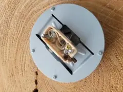 Item thumbnail for item f974df22-208f-4948-a834-1daa133e3876