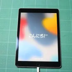 iPad Air 2 (第2世代) A1566 Wi-Fiモデル 中古品