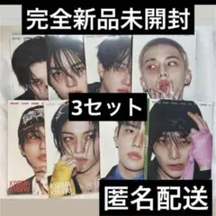 straykids スキズ　accordion アコーディオン　未開封　トレカ