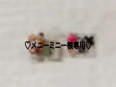 ♡メニーミニー様専用♡