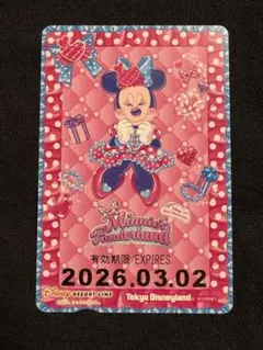リゾートライン☆フリー切符☆ミニーファンダーランド☆ミニーの日