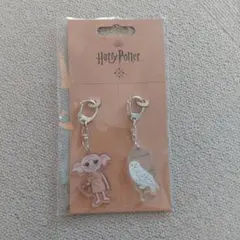 Harry Potter アクリルキーホルダー 2個セットのサムネイル