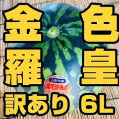 希少！ 尾花沢すいか 金色羅皇 訳あり 6L 甘い！ - メルカリ
