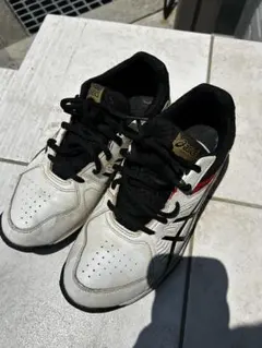 アシックス　スニーカー　25.0