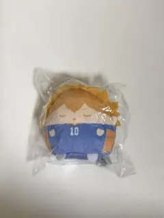 ハイキュー てのりんずコレクション ぬいくじ くじメイト E賞 日向翔陽