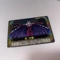 ワンピーベリーマッチダブル ヒナ S019-W SR6 ワンピース ワンベリー
