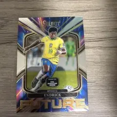 Endrick 25-26 Panini Select