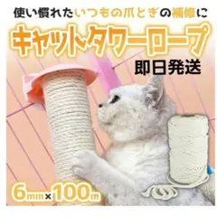 Item thumbnail for item 1d0d565e-be67-43dd-b6d6-a8fd8b48134a