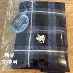 Polo British Country Spiritチェック柄 タオルハンカチ