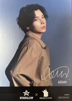 ADAM サイン入りカード STAR GLOW BRUNCH PARK トレカ