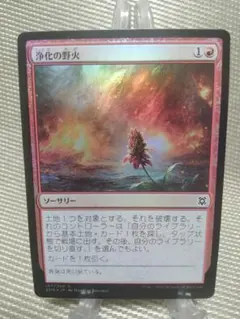 ゼンディカーの夜明け foil 浄化の野火a 日本語 1枚 MTG - メルカリ