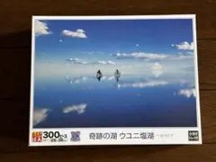 世界の絶景 ウユニ塩湖パズル 1500スモールピース 箱なし550円中身のみ