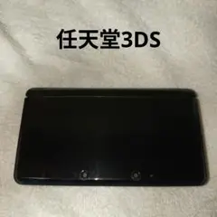 Nintendo3DS 本体