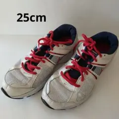 NIKE　DART 10 MSL 25cm