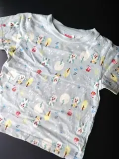 Item thumbnail for item 9a9f6d61-baee-4794-9c8c-3fa7ffee38eb