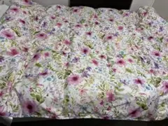 西川 ポーランド産ダウン防ダニ　抗菌洗えるフワフワダウンケットシングル