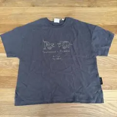 ブリーズ　恐竜　刺繍　Tシャツ 120cmのサムネイル