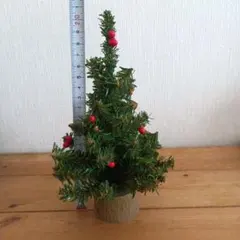 Item thumbnail for item 0afa632d-3aab-4527-b865-ea395f67b7e9