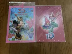 Item thumbnail for item 0c6c5603-474a-4d24-a5ca-92dbad34a6b6