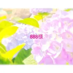 888様　専用ページです。