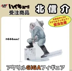 ハイキュー！！ アクリルGIGAフィギュア 影山飛雄 アドラーズ 受注