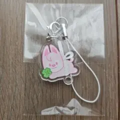 straykids スキズ ペンミ入場特典キーホルダー バンチャン ウルフチャン