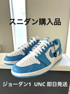 Nike SB Air Jordan 1 Low 