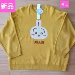 Item thumbnail for item 58e7144a-febb-47d4-a5d3-97e13bf5dd64