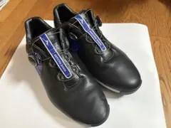 Item thumbnail for item 8b03cb60-3947-434d-9607-3664f7cdfe22