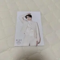 ELLE TREASURE ジュンギュ　ポストカード