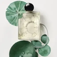 2025年最新】LILYPHÉAの人気アイテム - メルカリ