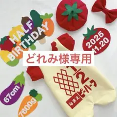 【4/11発送】　どれみ様専用