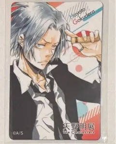 天野明展 家庭教師ヒットマンREBORN マグネットステッカー 獄寺隼人 獄寺