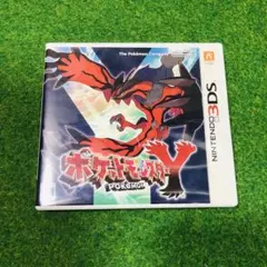 ⭐️動作確認済⭐️3DSソフト　ポケットモンスターY　ポケモンY Pokemon