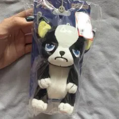 ジョジョの奇妙な冒険 イギー ぬいぐるみ マスコット