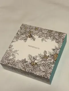 Item thumbnail for item 5930e092-a085-46aa-aed3-50894659adae