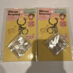 アルバムキーホルダー アルバムキーリング　ミニシール帳　セリア　2個