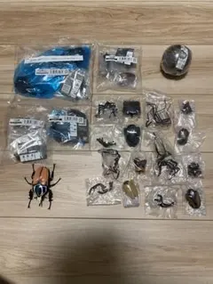 いきもの大図鑑　10点セット　未開封　コーカサス　くわがた